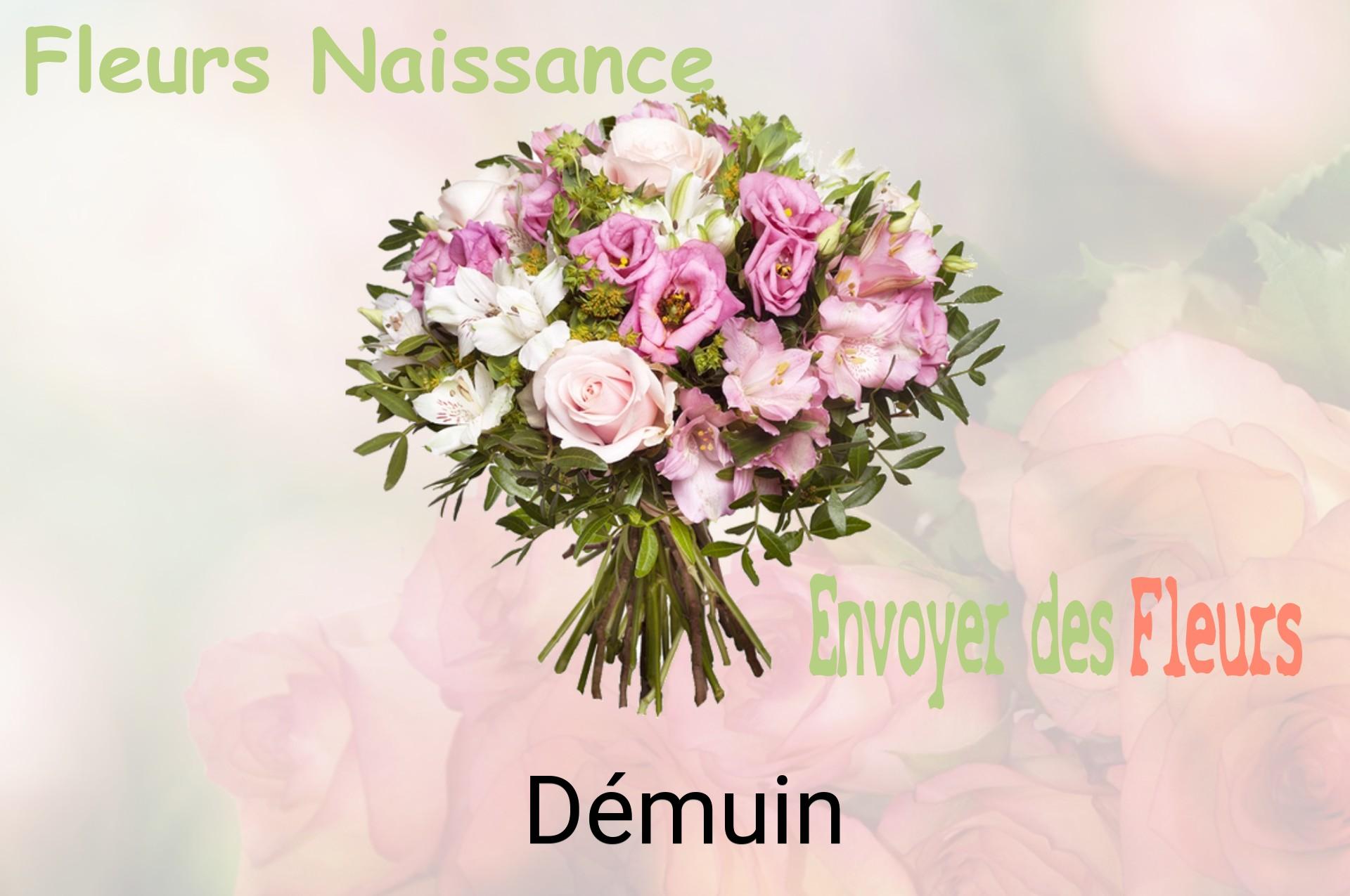 Bouquet de fleurs de naissance livré à Démuin